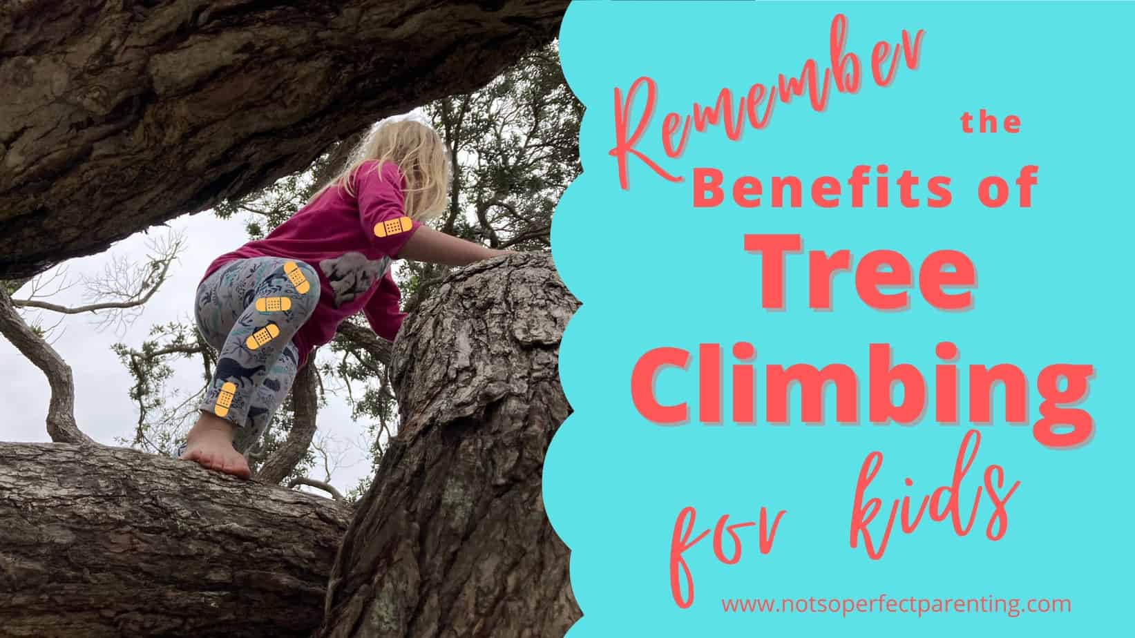 Tree climbing benefits for children. - Not So Perfect Parenting